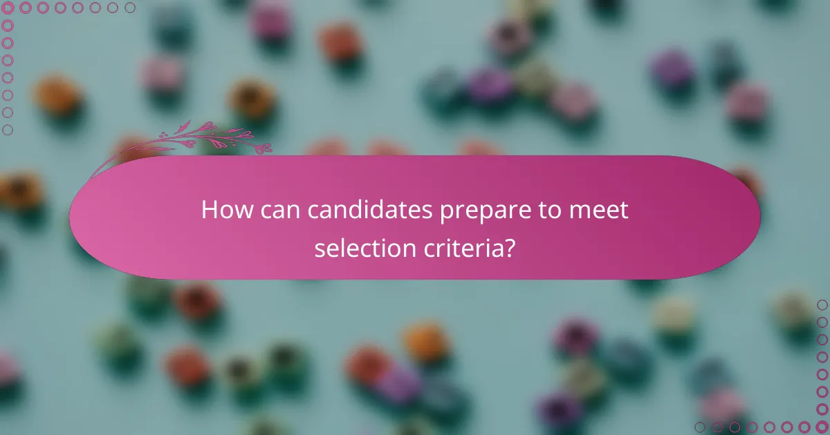 How can candidates prepare to meet selection criteria?