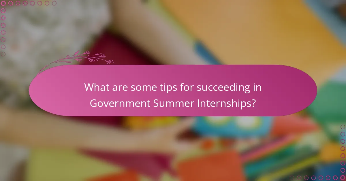 What are some tips for succeeding in Government Summer Internships?